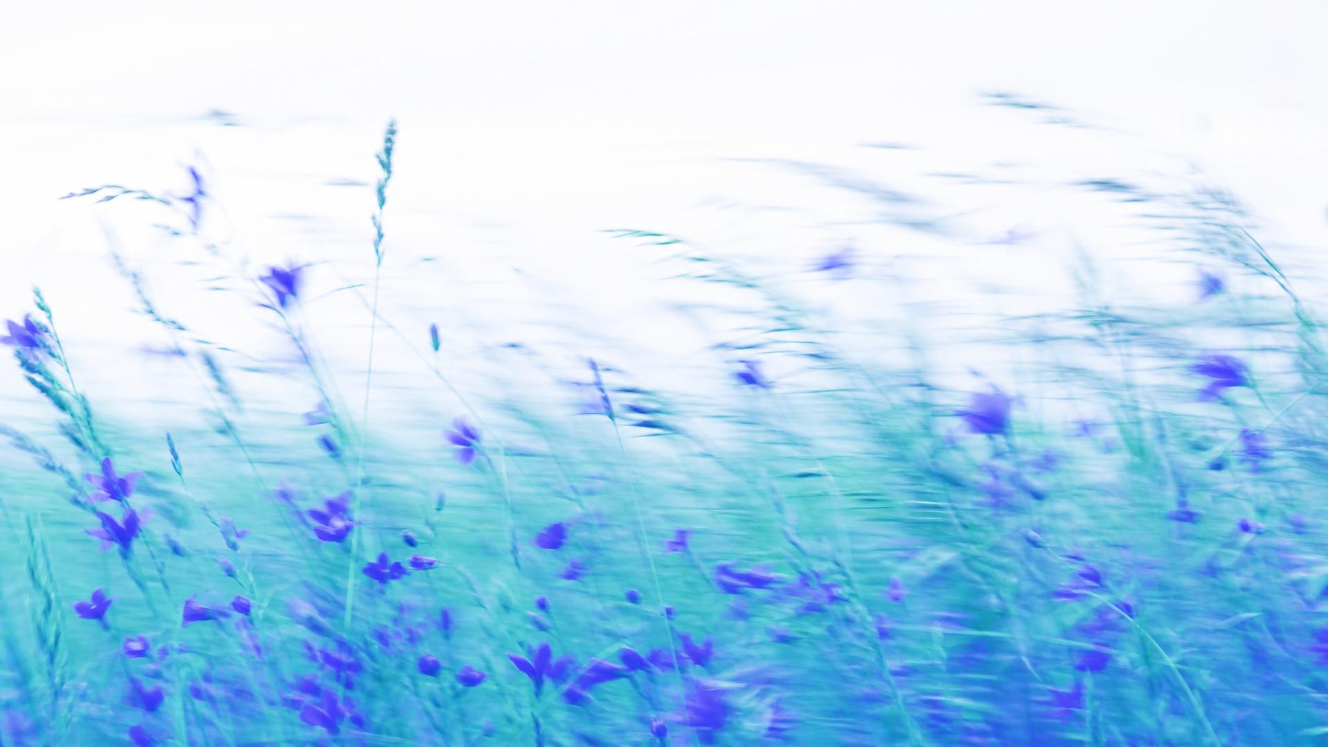 Dreamy high-key motion-blur wildflower meadow in indigo and teal