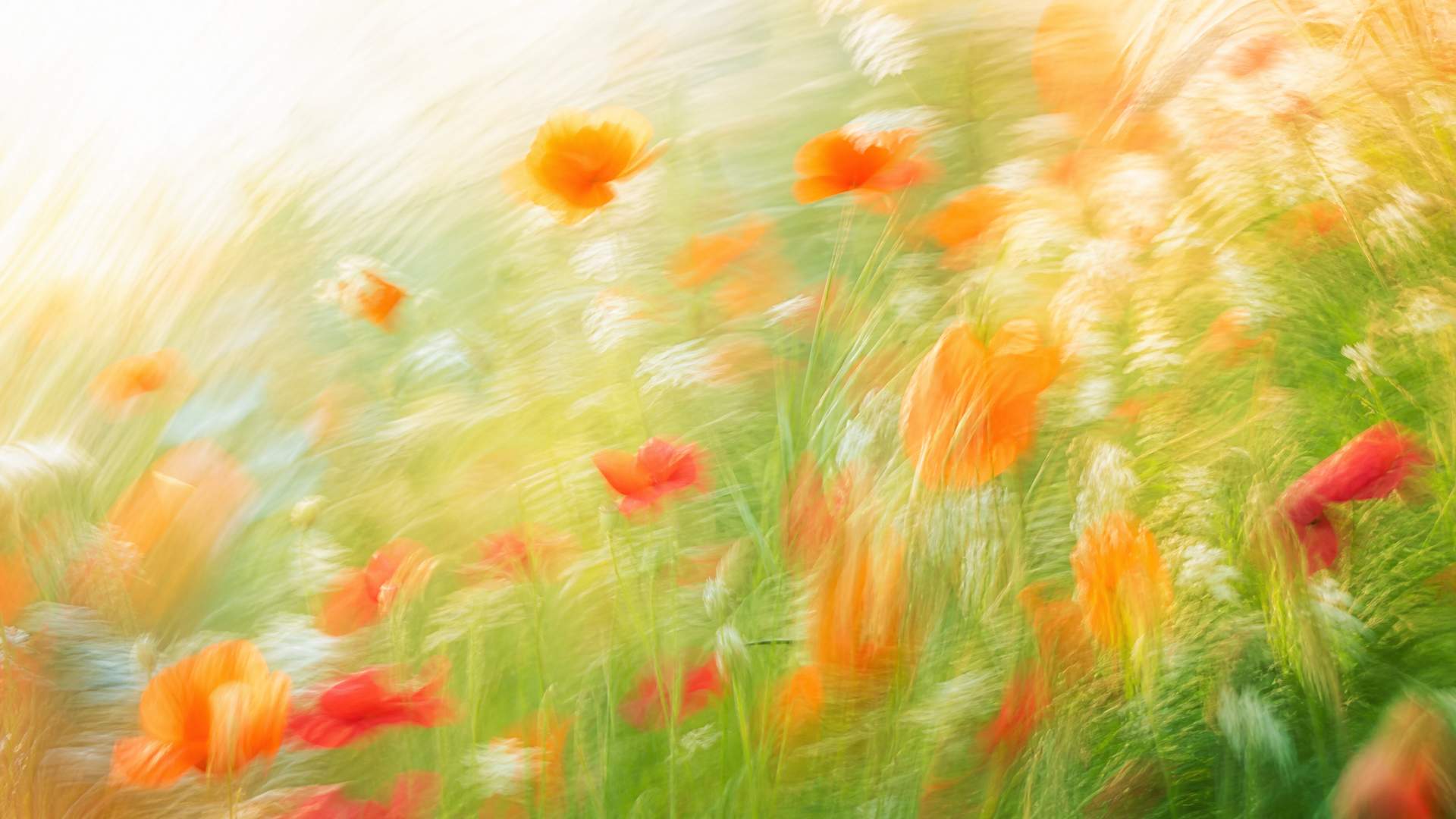 Bright impressionistic motion-blur wildflower meadow